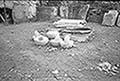 301660109.jpg