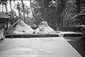 301660118.jpg