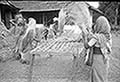 301660148.jpg