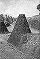 301660180.jpg
