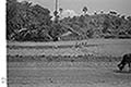 301660247.jpg