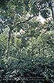 301660308.jpg