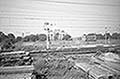 301660457.jpg