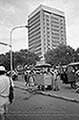 301660459.jpg