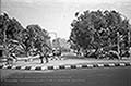 301660462.jpg