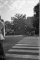301660470.jpg